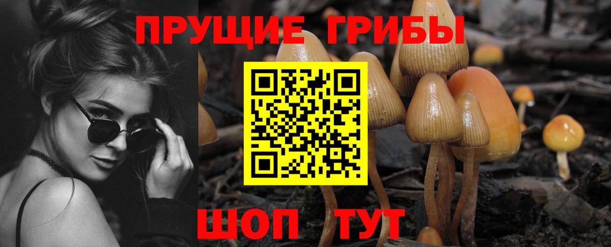 Псилоцибиновые грибы мухоморы Скопин